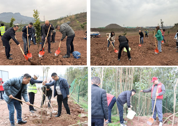 建設(shè)管理部黨總支組織開(kāi)展植樹(shù)活動(dòng)3.png
